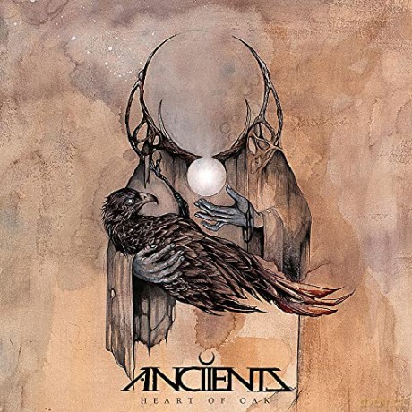 Anciients: Heart Of Oak (Grey) [Winyl]