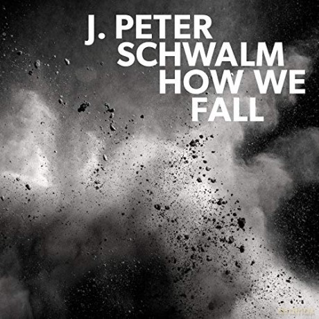 Peter Schwalm: How We Fall [Winyl]