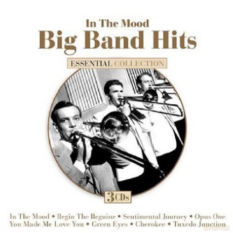 In The Mood - Big Band Hits [CD]