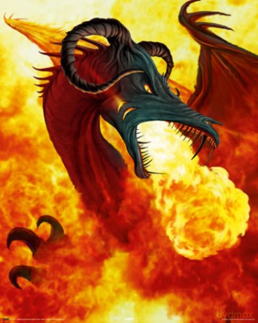Fire Dragon [PLAKAT]