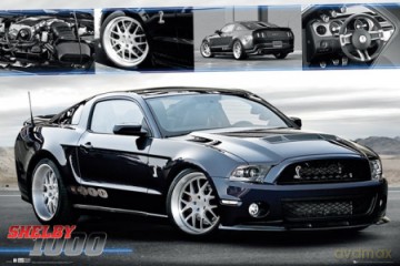 Ford Shelby 1000 [PLAKAT]