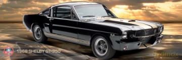 Ford Shelby Gt350 [PLAKAT]