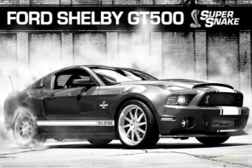 Ford Shelby Gt500 Supersnake [PLAKAT]
