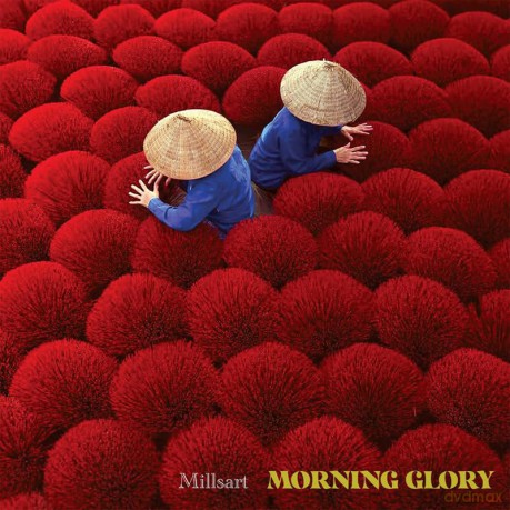 Millsart: Morning Glory [Winyl]