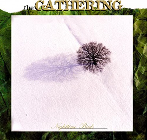 Gathering: Nighttime Birds [CD]