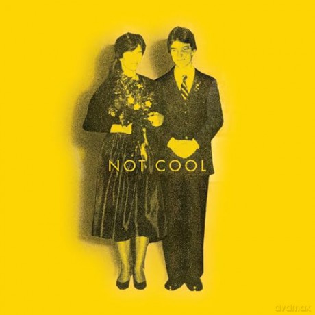 Tim Easton: Not Cool [Winyl]