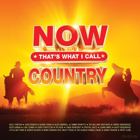 Now Thats What I Call Country [Winyl]