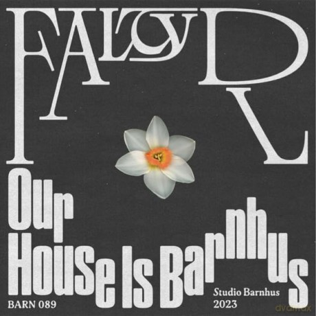 Faltydl: Our House Is Barnhus [Winyl]