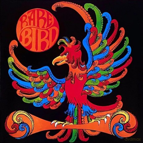 Rare Bird: Rare Bird (Orange) [Winyl]