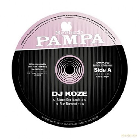 Dj Koze: Rue Burnout [Winyl]