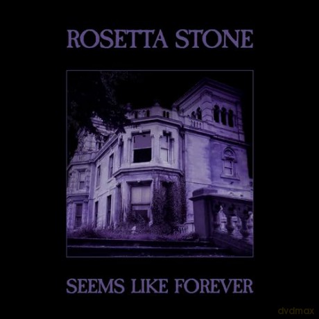 Rosetta Stone: Seems Like Forever [Winyl]