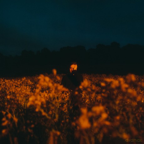 Benjamin Francis Leftwich: Some Things Break [CD]