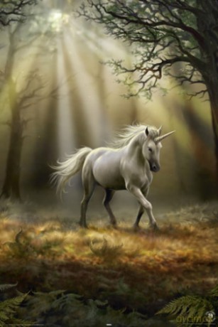 Glimpse Of A Unicorn [PLAKAT]