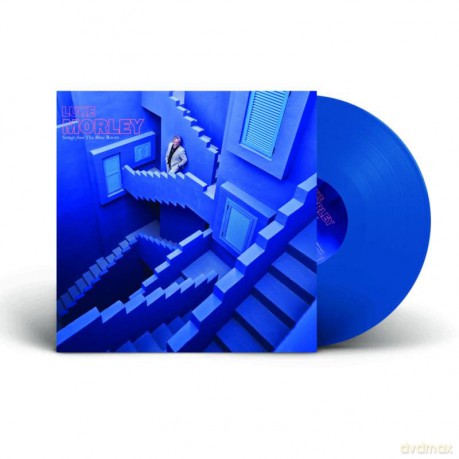 Luke Morley: Songs From The Blue Room [Winyl]