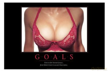 Goals [PLAKAT]