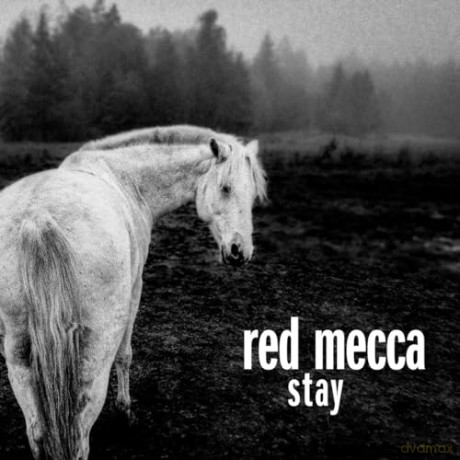 Red Mecca: Stay (Clear) [Winyl]