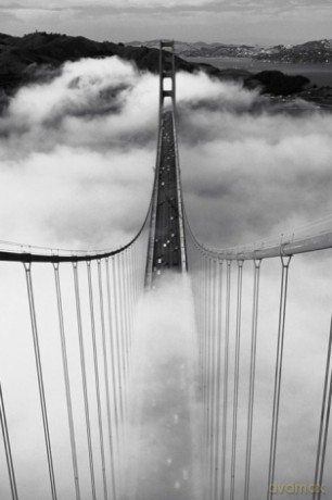 Golden Gate Bridge (Misty Morning) [PLAKAT]