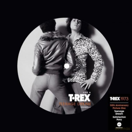 T. Rex: Teenage Dream (50th Anniversary) (Picture) [Winyl]