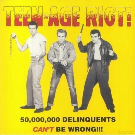 Teen-Age Riot! - 50.000.000 Delinquents Cant Be Wrong!!! [Winyl]