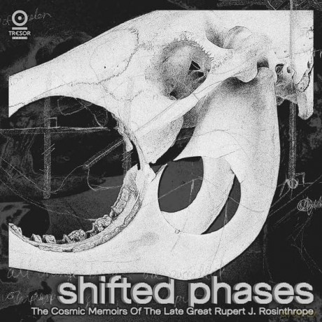 Shifted Phases: The Cosmic Memoirs Of The Late [Winyl]