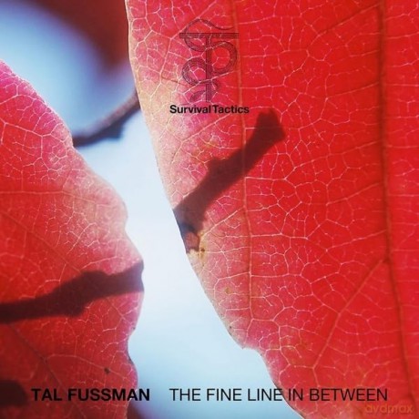 Tal Fussman: The Fine Line In Between [Winyl]
