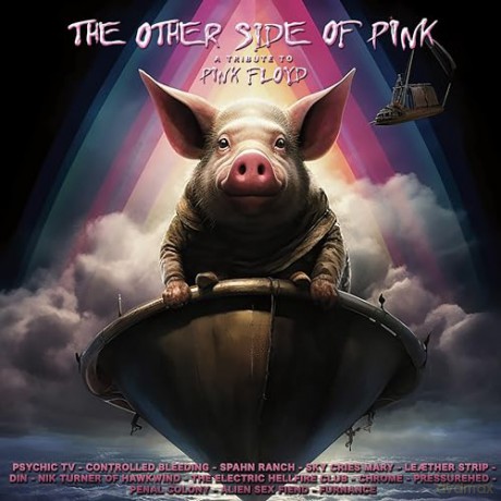 The Other Side Of Pink - A Tribute To Pink Floyd [Winyl]