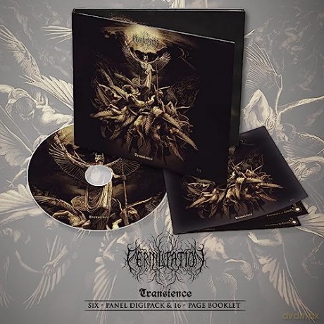 Permutation: Transience [CD]