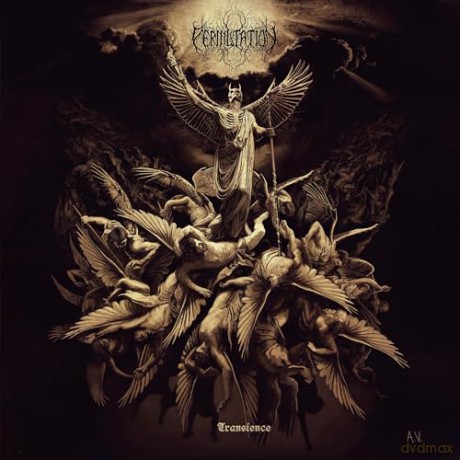 Permutation: Transience [CD]