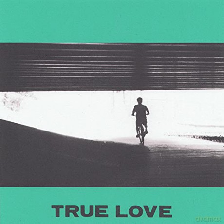 Hovvdy: True Love [KASETA]