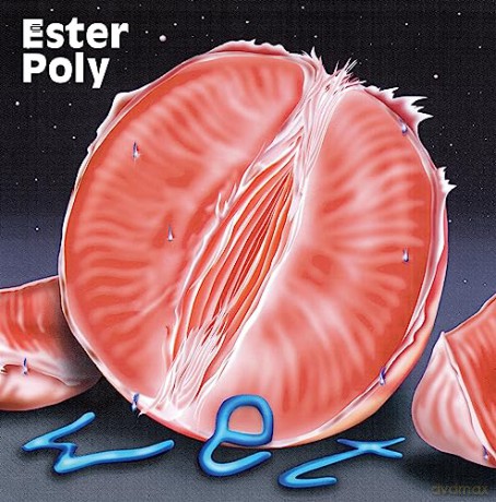 Ester Poly: Wet [Winyl]