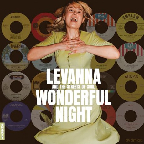 Wonderful Night Curated By Levanna [Winyl]