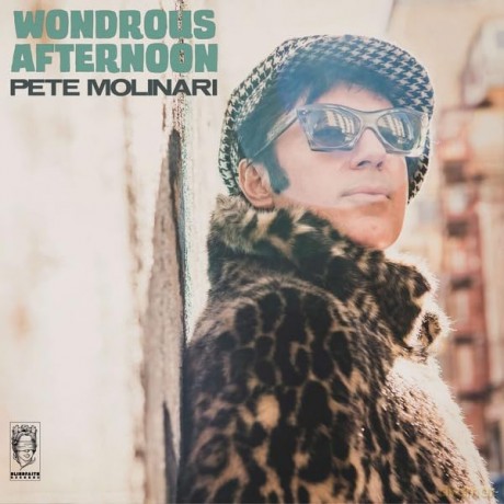 Pete Molinari: Wondrous Afternoon [Winyl]