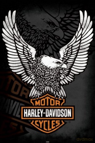Harley Davidson (Eagle) [PLAKAT]
