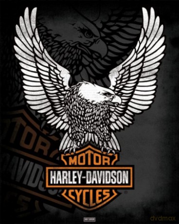Harley Davidson (Eagle) [PLAKAT]
