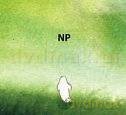 Napszyklat: Np [CD]