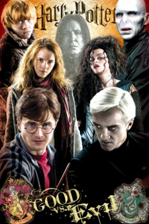 Harry Potter Good Vs Evil [PLAKAT]