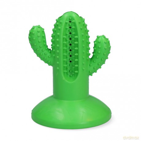 AFP - Dental Cactus Large Green 15cm