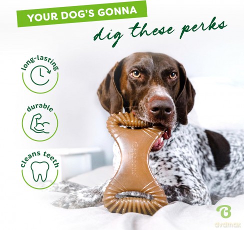Benebone - Dental Chew Bacon S 14cm