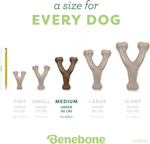 Gryzak dla psa Benebone - Wishbone Bacon 18 cm