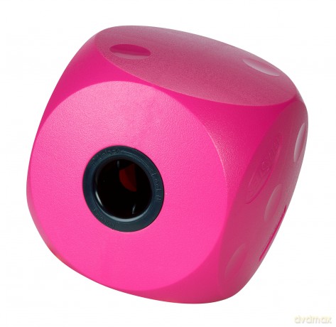 BUSTER Food Cube cherry