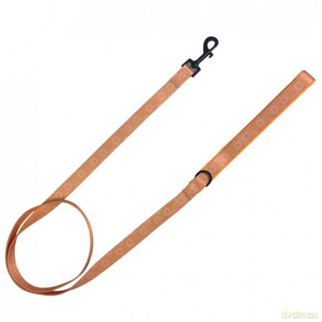 Confetti Dogs - Dog Lead Hey Sunshine