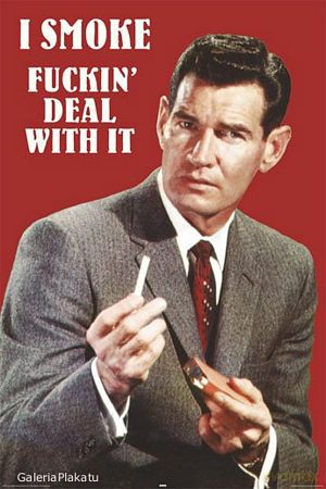 I Smoke (fuckin Deal With It) [PLAKAT]