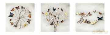 Ian Winstanley - Wings Of Nature [PLAKAT]
