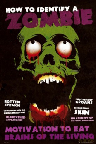 Identify A Zombie [PLAKAT]
