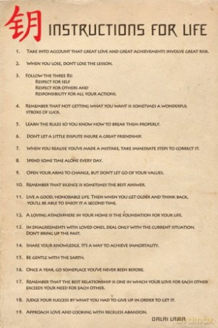 Instrukcja Zycia (Dalai Lama Ang.) [PLAKAT]