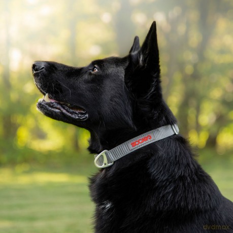 Siccaro - Sealines Dog Collar Silver M