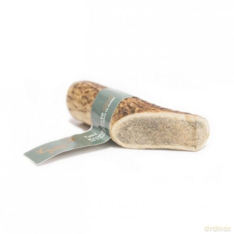 Taki - Deer antler S 10 cm