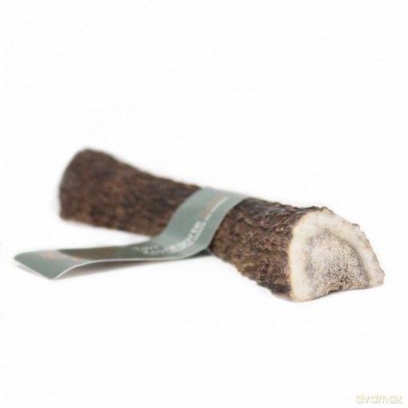 Taki - Deer Antler split L 15cm