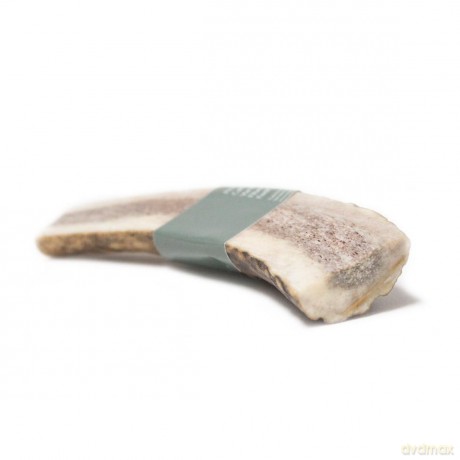 Taki - Deer Antler split S 10cm