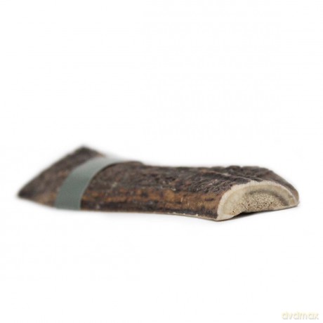 Taki - Deer Antler split XXL 20cm